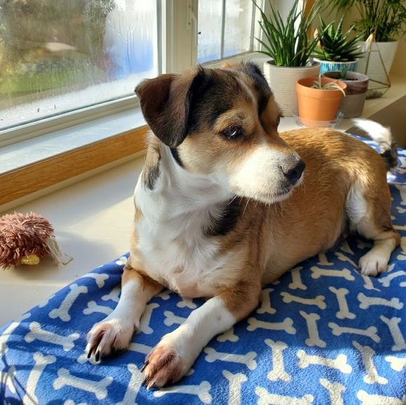 Meet your Posher, Stephanie - Picture 1 of 1